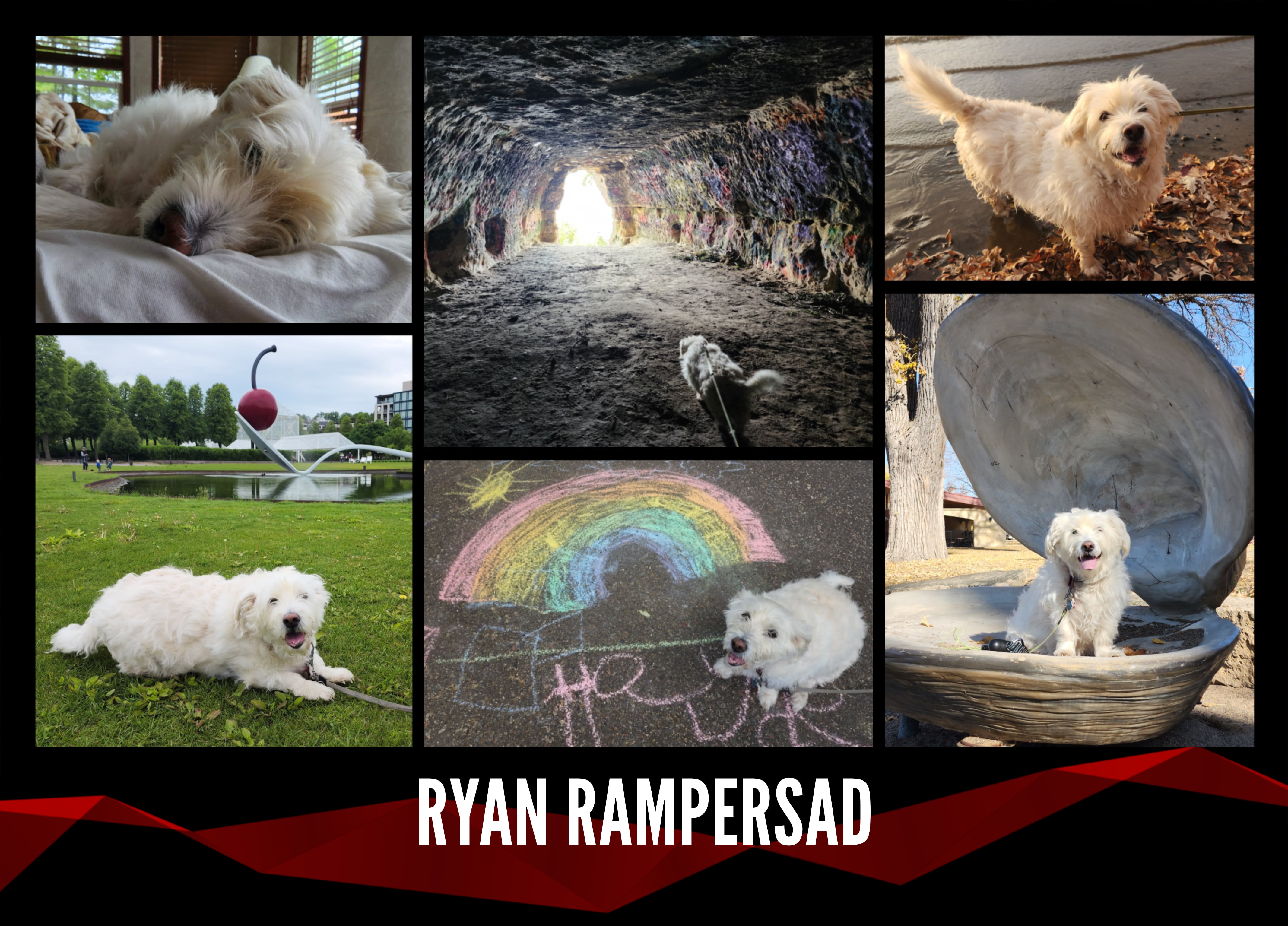 2022 — 2023 Card: Front