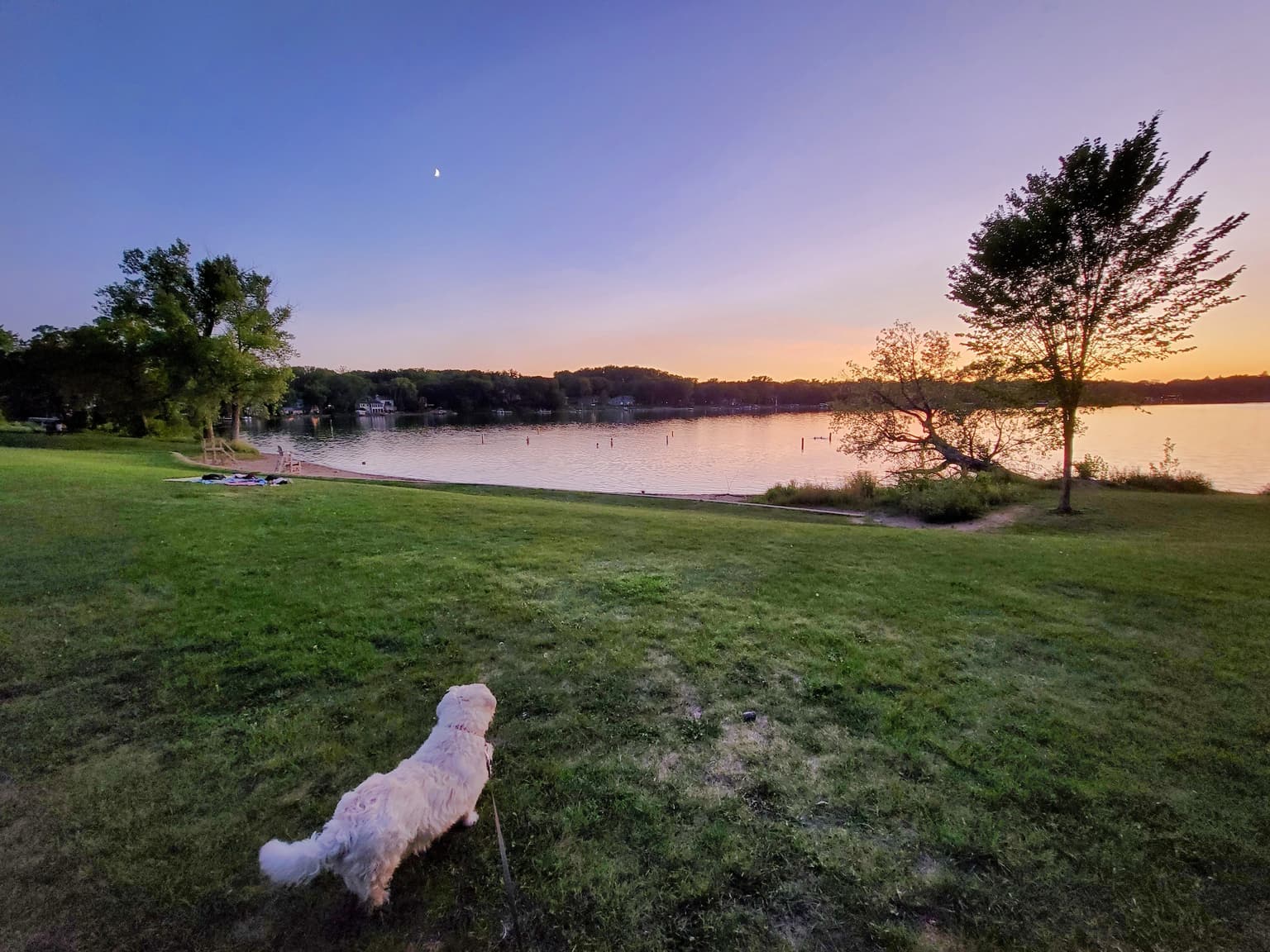 Roxy at sunset