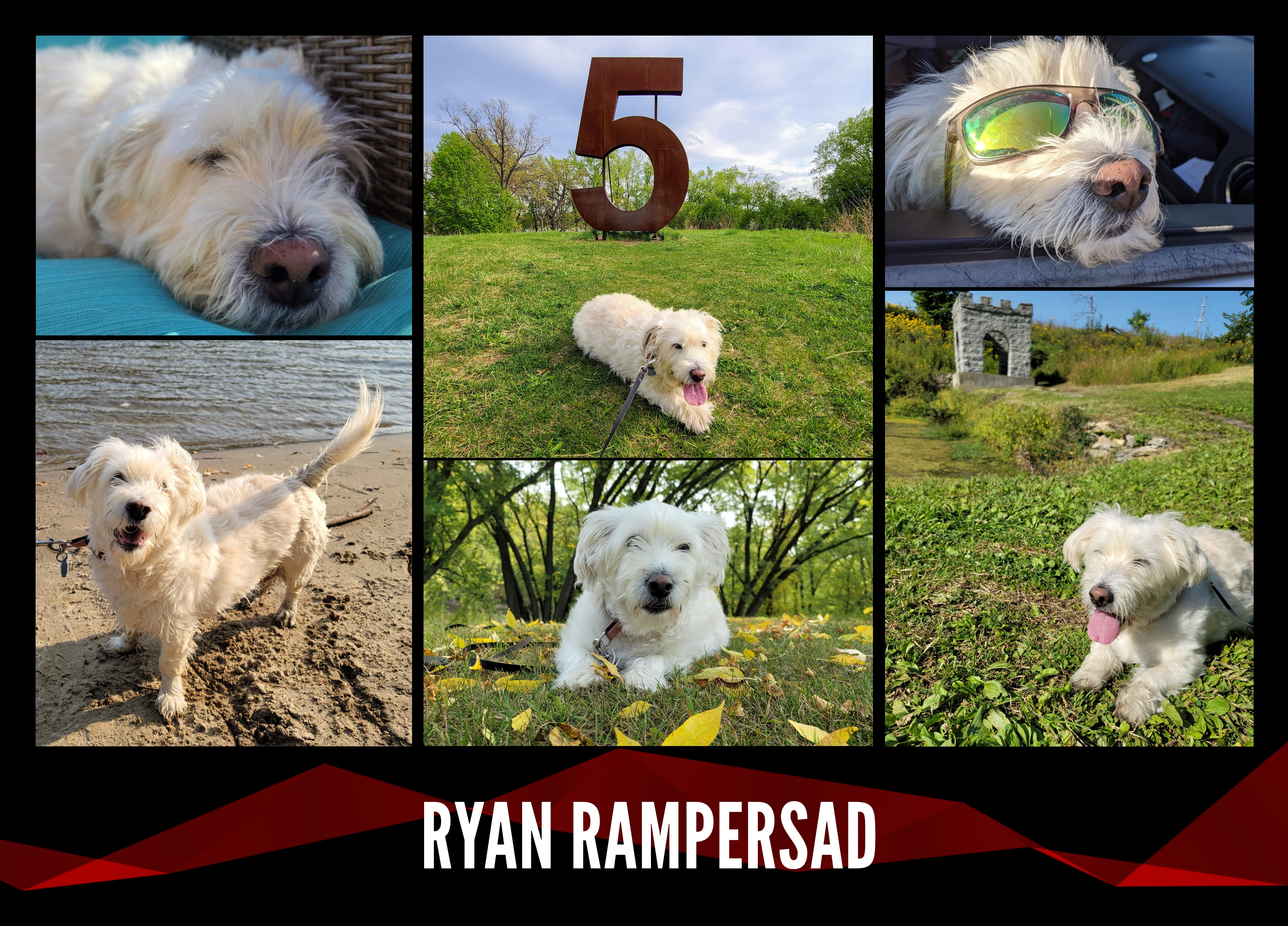 2020 — 2021 Card: Front