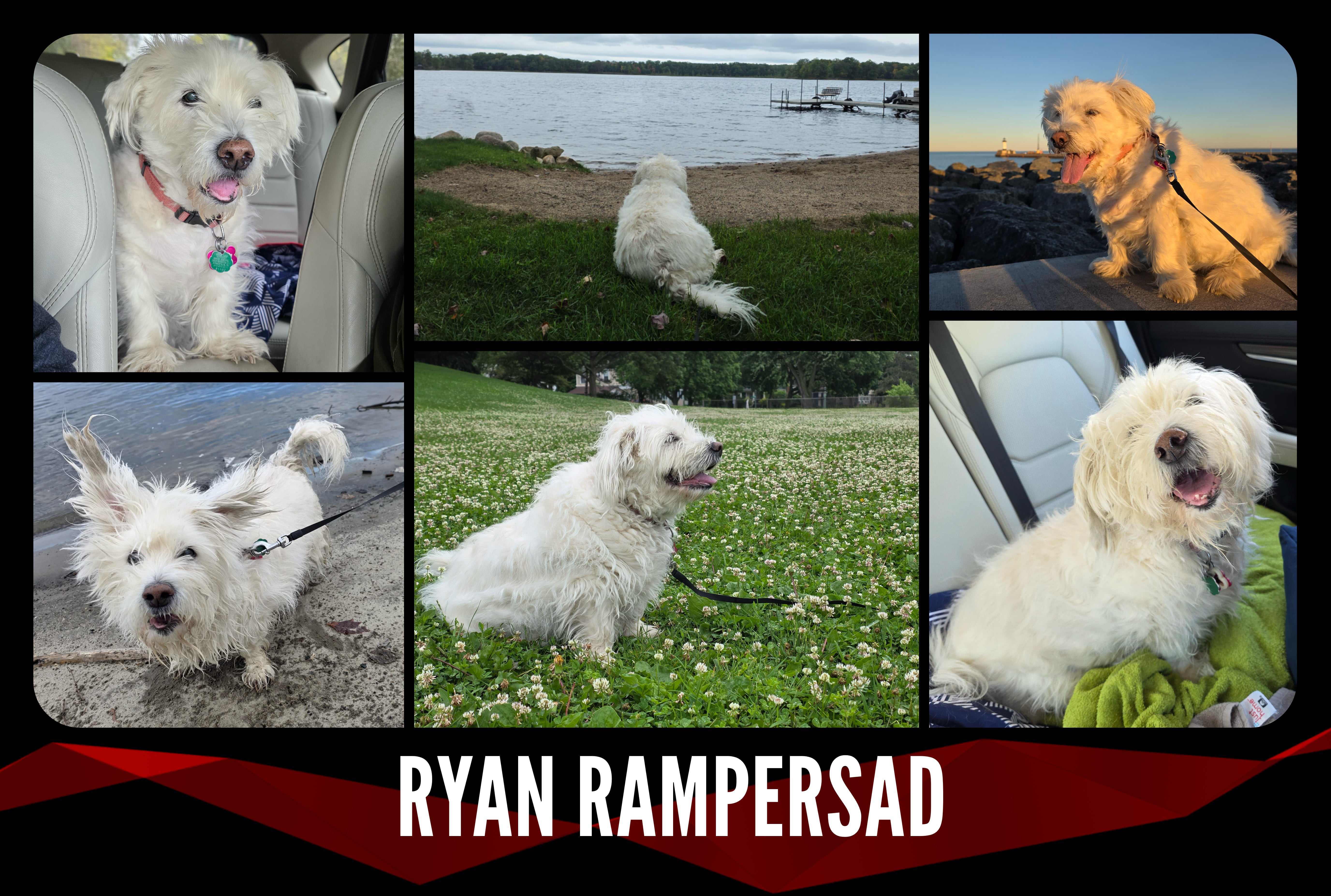 2025 — 2026 Card: Front