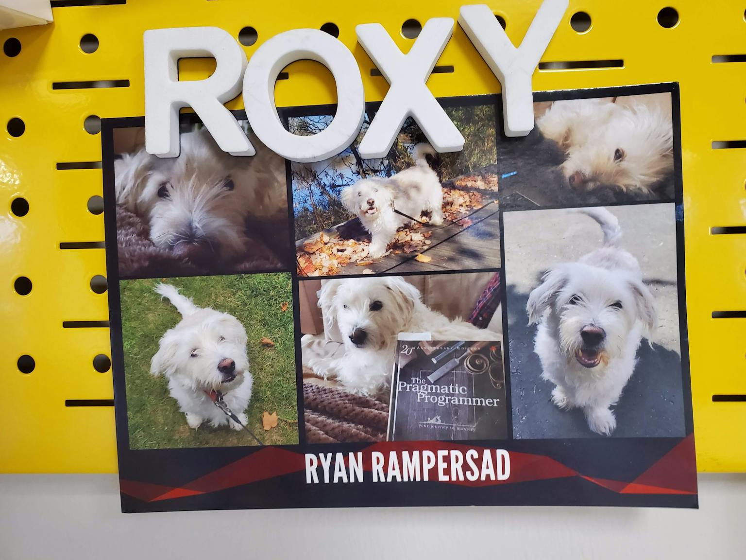 Card 2019-2020: Roxy featured on the best peg board of 2020
